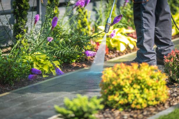 Best Restaurant Pressure Washing  in Dogtown, CA