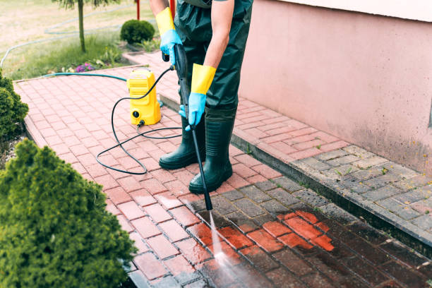 Spring Cleaning in Dogtown, CA
